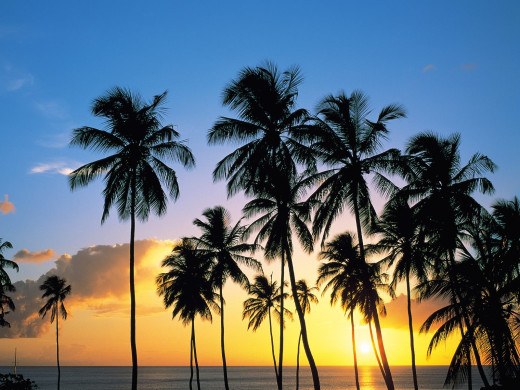 26642 (a): :1600x1200